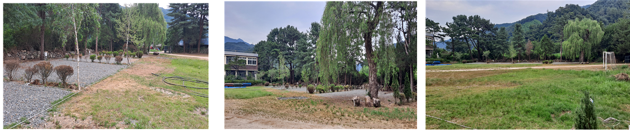 문화 체험 이미지