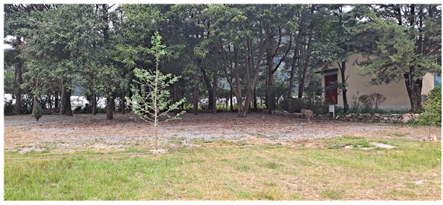 문화 체험 이미지